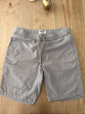 Express Men’s Flat Front Shorts in Light Gray